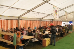 carnevale_2011 (7)