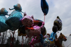 carnevale_2016 (112)