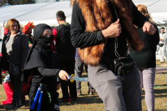IMG_8002-Edited
