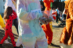 IMG_27-Edited
