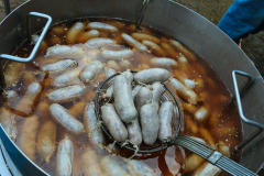 IMG_0495-Edited